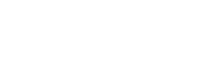 Tech Global Institute